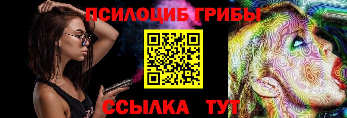 Курск  Галлюциногенные грибы Cubensis  закладка  Галлюциногенные грибы мицелий  Вход с VPN 